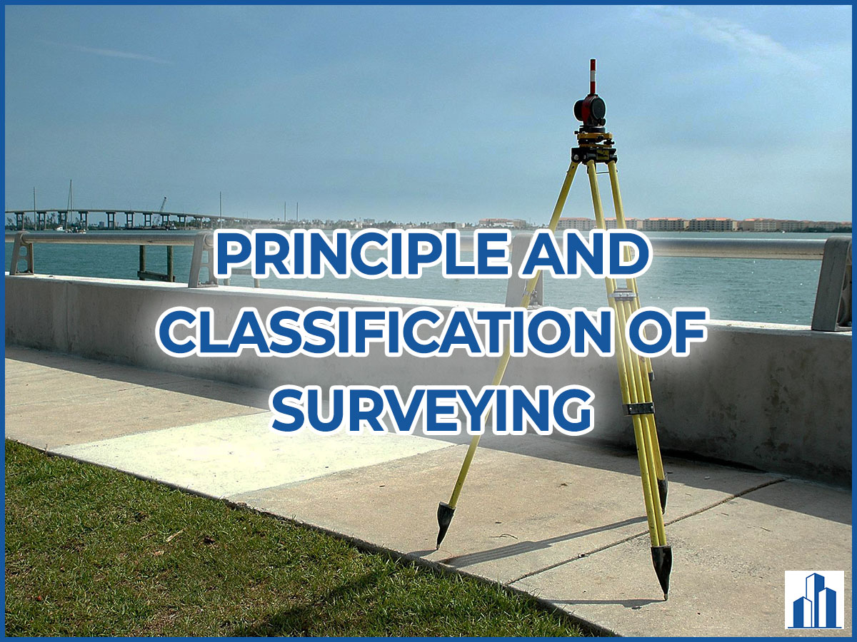 classification of survey